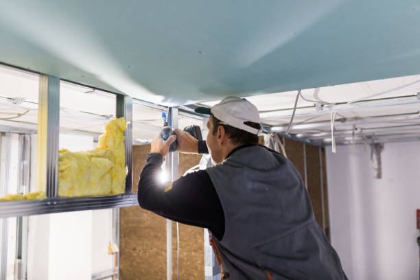 Best Insulation Installation Services in Durant, IA